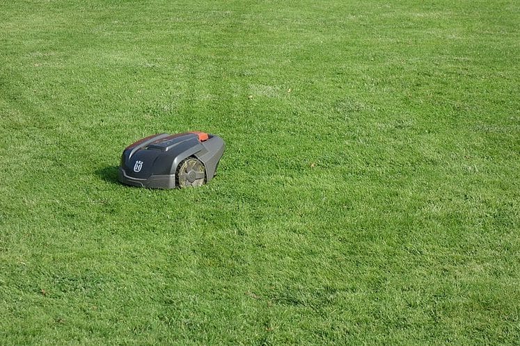 Robot tondeuse connectée : ce qu'il faut savoir avant d'en installer une cet été
